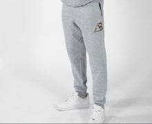 Load image into Gallery viewer, Gray Triadd "Pyramid Joggers" Cheetah 🐆
