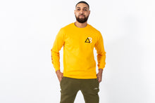 Load image into Gallery viewer, Triadd Long Sleeve "Honey Vivid" T-shirt 🍯
