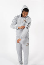 Load image into Gallery viewer, Gray Triadd "Pyramid Hoodie" Cheetah 🐆

